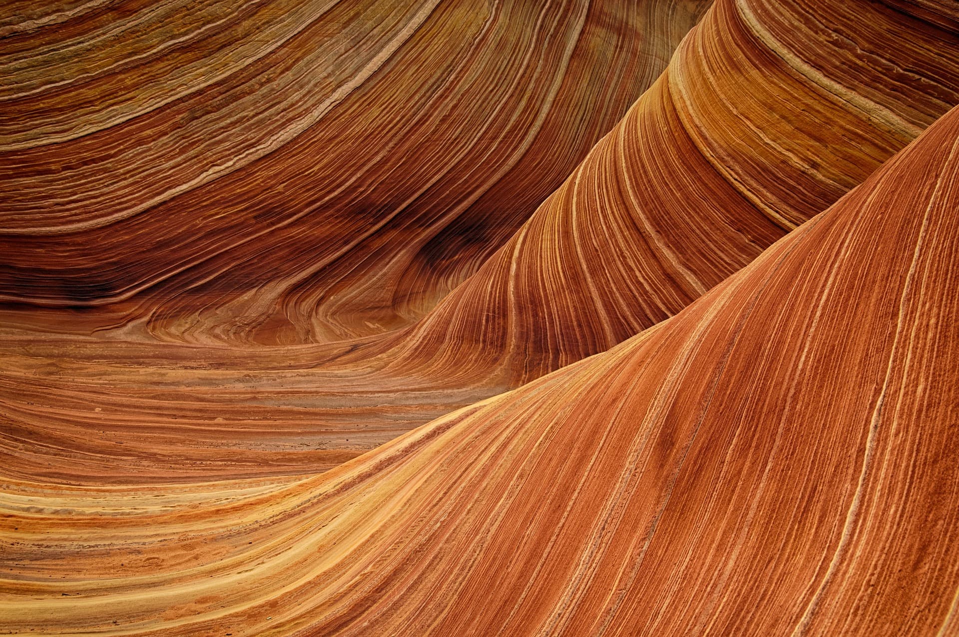 Abstract image