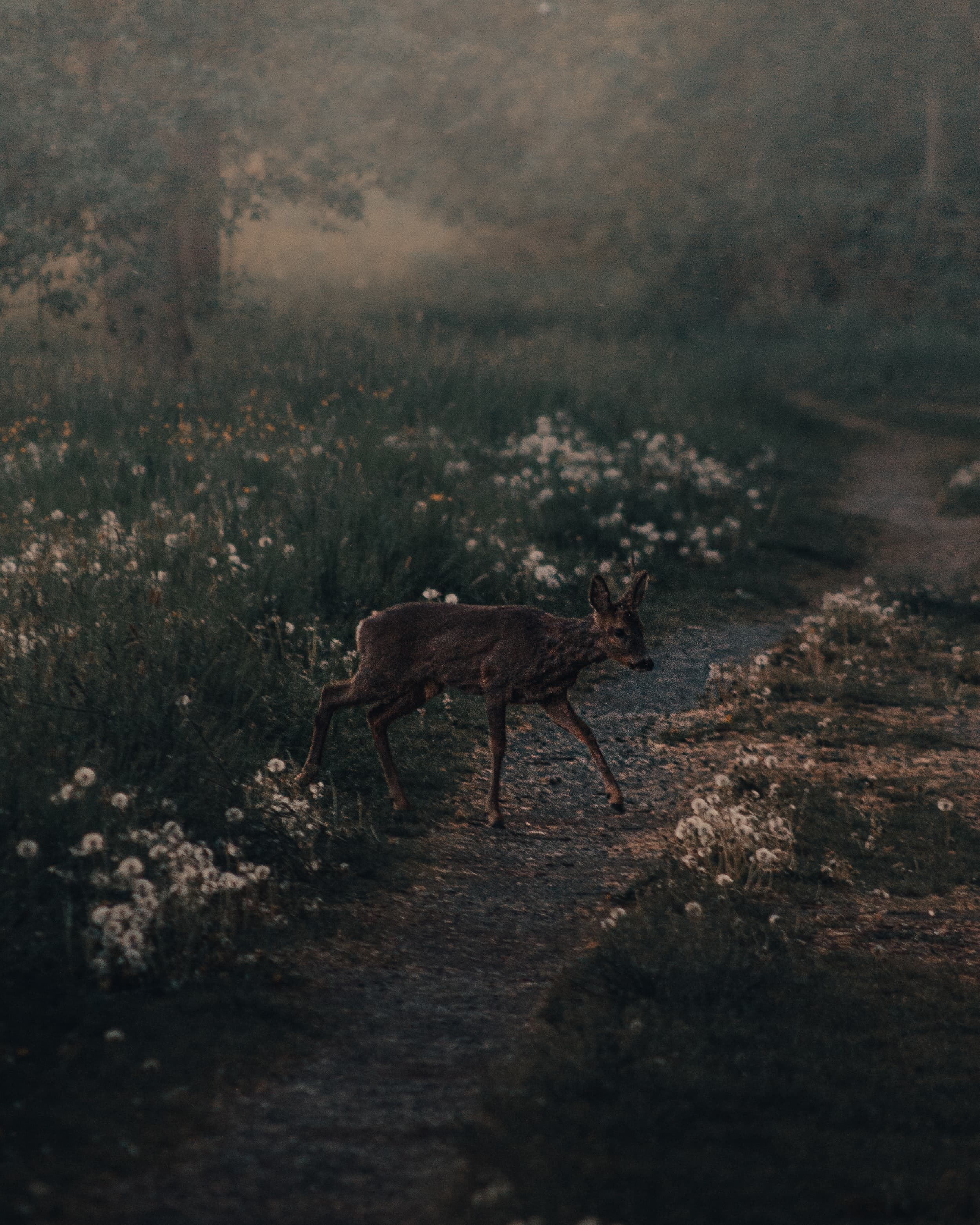 Nature