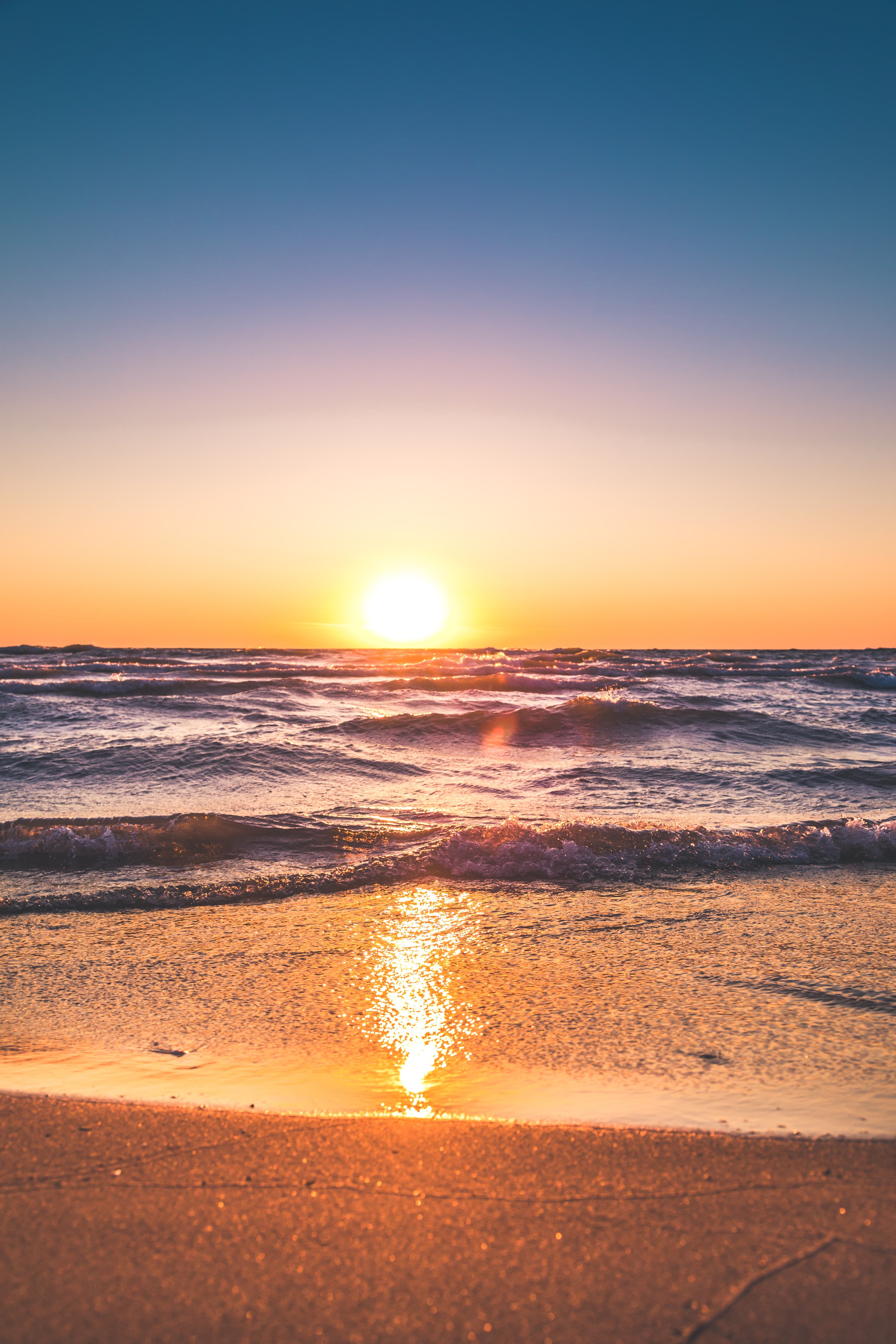 Nature image