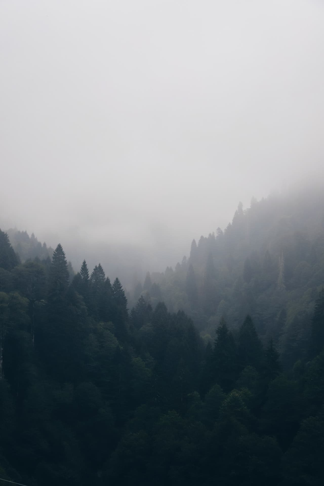 Nature image
