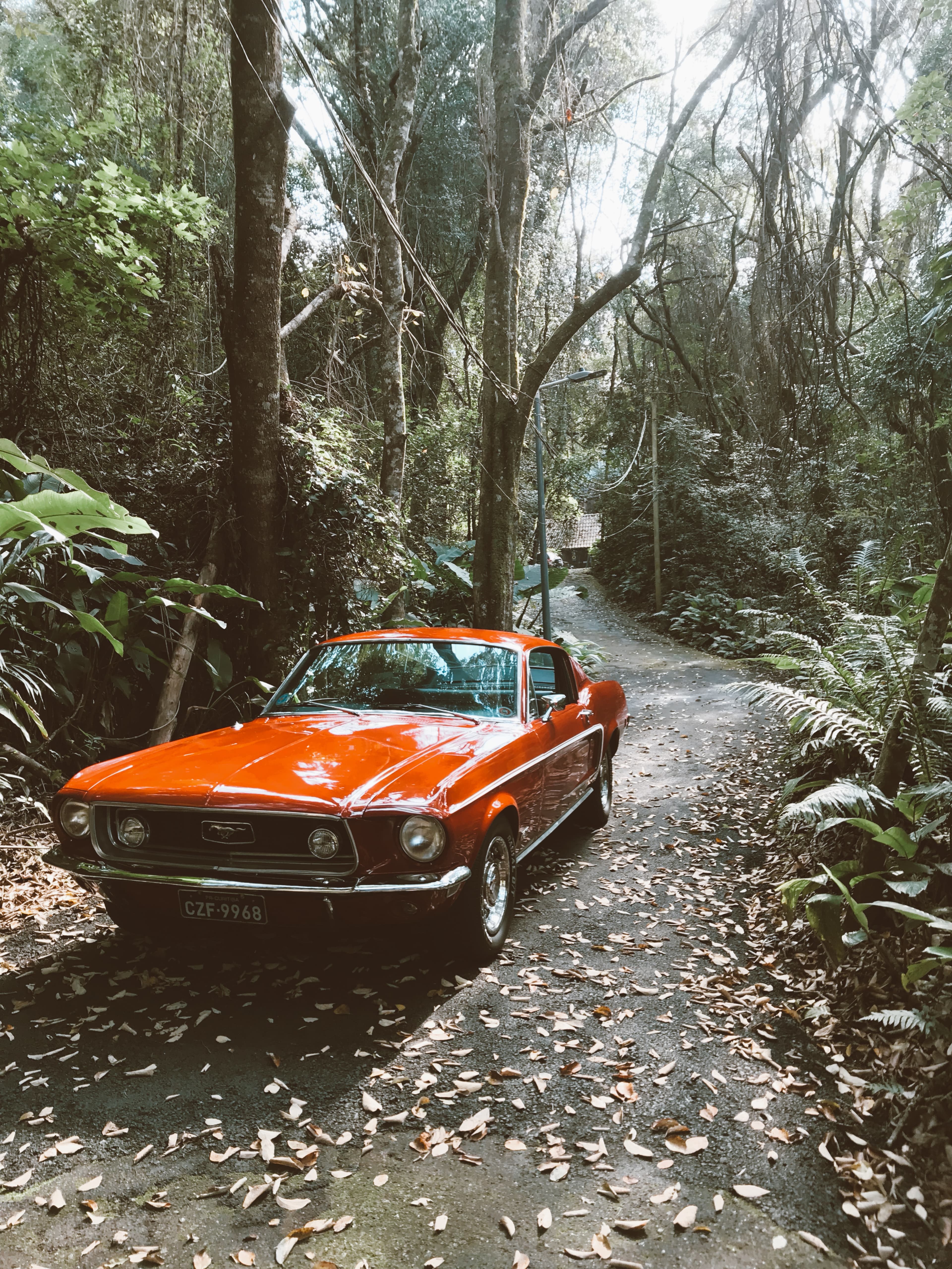 cars image