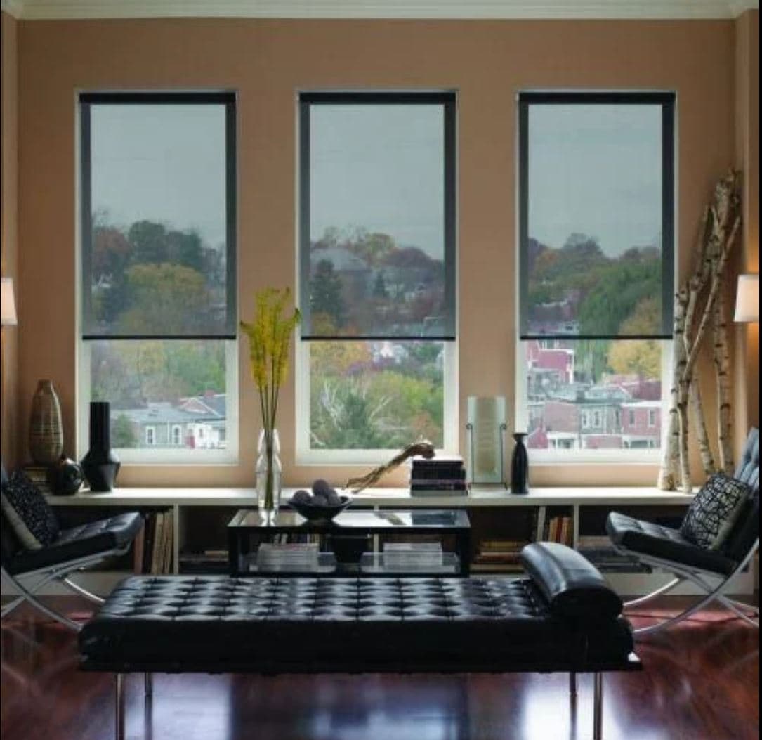 Sunscreen Blinds